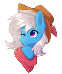 Size: 1869x2220 | Tagged: safe, artist:lambydwight, imported from derpibooru, oc, oc only, oc:quiver, pony, bust, cowboy hat, hat, portrait, simple background, solo, white background