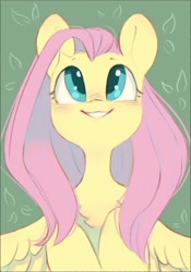 Size: 841x1200 | Tagged: safe, artist:melodylibris, imported from derpibooru, fluttershy, pegasus, pony, blushing, bust, chest fluff, cute, daaaaaaaaaaaw, eyebrows, female, full face view, green background, grin, hooves to the chest, looking up, mare, shyabetes, simple background, smiling, solo, spread wings, wings