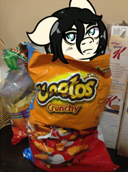 Size: 748x1000 | Tagged: safe, artist:lazerblues, imported from derpibooru, oc, oc only, oc:floor bored, earth pony, pony, bag, cheetos, irl, looking at you, photo, ponies in real life, ponified animal photo, solo