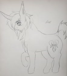 Size: 2632x2972 | Tagged: safe, artist:teardrop, imported from derpibooru, oc, oc only, oc:issac, pony, unicorn, male, monochrome, muscles, short tail, solo, stallion, tail, traditional art