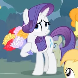 Size: 543x543 | Tagged: safe, imported from derpibooru, screencap, alula, carrot top, golden harvest, noi, pluto, rarity, truffle shuffle, earth pony, pegasus, pony, unicorn, season 4, simple ways, bouquet, bouquet of flowers, cropped, crowd, cute, flattered, flower, g4, offscreen character, raribetes, smiling