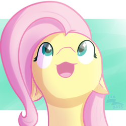Size: 1000x1000 | Tagged: safe, artist:exobass, imported from derpibooru, fluttershy, pony, :3, bust, expression, female, hopeful, looking up, open mouth, open smile, smiling, solo, sparkly eyes, wingding eyes
