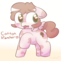 Size: 2000x2000 | Tagged: safe, artist:cushyhoof, imported from derpibooru, oc, oc only, oc:cotton rancher, pegasus, pony, blushing, coat markings, cute, embarrassed, gradient background, high res, male, open mouth, shy, solo, spread wings, stallion, text, wings