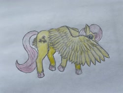 Size: 4032x3024 | Tagged: safe, imported from derpibooru, fluttershy, pegasus, pony, colored hooves, cute, female, full body, hiding behind wing, looking at you, mare, shy, shyabetes, simple background, solo, traditional art, unshorn fetlocks, walking, white background, wings