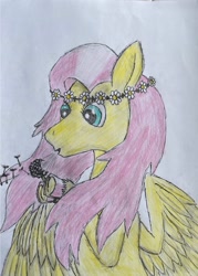 Size: 2672x3738 | Tagged: safe, imported from derpibooru, fluttershy, pegasus, pony, blowing, cute, daisy (flower), dandelion, female, floral head wreath, flower, hoof hold, mare, messy mane, simple background, traditional art, white background