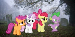 Size: 1023x511 | Tagged: artist needed, photographer needed, safe, imported from ponybooru, apple bloom, scootaloo, spike, sweetie belle, dragon, earth pony, pegasus, pony, unicorn, bow, confused, crossed arms, cutie mark crusaders, dead tree, edited photo, female, filly, foal, fog, goth, gravestone, graveyard, hair bow, irl, male, photo, ponies in real life, tree