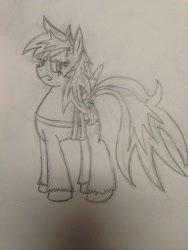 Size: 960x1280 | Tagged: safe, artist:machacapigeon, imported from ponybooru, oc, earth pony, pony, annoyed, fake wings, female, hooves, monochrome, solo, traditional art