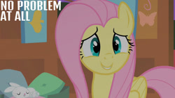 Size: 1280x720 | Tagged: safe, edit, edited screencap, editor:quoterific, imported from derpibooru, screencap, angel bunny, fluttershy, pegasus, pony, rabbit, season 1, stare master, animal, duo, eyes closed, female, fluttershy's cottage, male, mare, night, sleeping, smiling, text