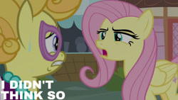 Size: 1280x720 | Tagged: safe, edit, edited screencap, editor:quoterific, imported from derpibooru, screencap, fluttershy, lemon chiffon, earth pony, pegasus, pony, fame and misfortune, season 7, duo, female, mare, open mouth, sweat, text