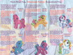 Size: 640x479 | Tagged: safe, imported from derpibooru, beachberry, bowtie (g3), coconut cream, kiwi tart, ribbon wishes, seaspray, backcard, butterfly island, dazzle bright ponies, description, french, g3, insert, international, irl, official, photo, spanish