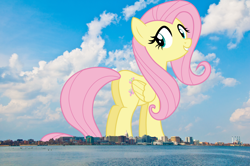 Size: 1920x1275 | Tagged: safe, artist:cloudy glow, artist:thegiantponyfan, imported from derpibooru, fluttershy, pegasus, pony, butt, female, flutterbutt, flutterbutter, folded wings, giant pegasus, giant pony, giantess, giantshy, grin, highrise ponies, irl, looking at you, macro, madison, mare, mega giant, photo, plot, ponies in real life, smiling, wings, wisconsin