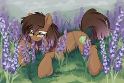 Size: 2004x1345 | Tagged: safe, artist:crimmharmony, imported from derpibooru, oc, oc only, oc:be sharp, earth pony, pony, flower, gazing, glasses, lying down, male, outdoors, prone, solo, stallion