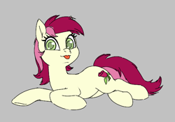 Size: 564x394 | Tagged: safe, roseluck, earth pony, pony, aggie.io, female, looking at you, lying down, mare, simple background, smiling, tongue out