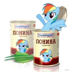 Size: 583x588 | Tagged: artist needed, safe, imported from derpibooru, rainbow dash, pegasus, pony, canned food, cyrillic, food, horse meat, meat, russian, simple background, solo, translated in the comments, white background