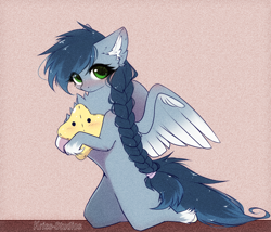 Size: 2242x1917 | Tagged: safe, artist:krissstudios, imported from derpibooru, oc, pegasus, pony, anatomically incorrect, blushing, braid, chest fluff, coat markings, colored ear fluff, colored wings, cute, ear fluff, eye clipping through hair, female, hair over one eye, incorrect leg anatomy, kneeling, looking at you, mare, plushie, socks (coat markings), solo, star plushie, stars, two toned wings, unshorn fetlocks, wings