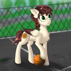 Size: 3000x3000 | Tagged: safe, artist:stravy_vox, imported from derpibooru, oc, oc only, pegasus, pony, basketball, chest fluff, male, pegasus oc, sports