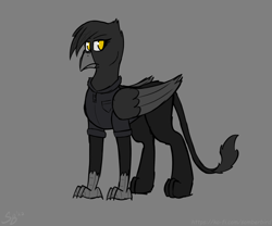 Size: 2400x2000 | Tagged: safe, artist:somber, imported from derpibooru, oc, oc only, oc:heidi blackfeathers, griffon, clothes, female, griffon oc, solo, uniform