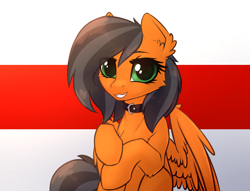 Size: 2000x1525 | Tagged: safe, artist:dipfanken, imported from derpibooru, oc, oc only, pegasus, pony, belarus, collar, flag, solo