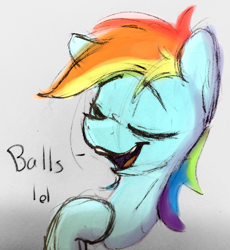 Size: 2490x2709 | Tagged: safe, artist:packy paca, imported from derpibooru, rainbow dash, dialogue, raised eyebrow, smug, solo