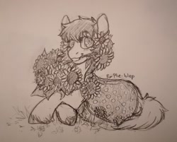 Size: 640x515 | Tagged: safe, artist:purple-blep, imported from derpibooru, oc, oc:thursday, earth pony, pony, female, flower, flower in hair, flower in mouth, mare, mouth hold, simple background, sketch, solo, sunflower, traditional art, unshorn fetlocks, weekday ponies, white background, wingding eyes
