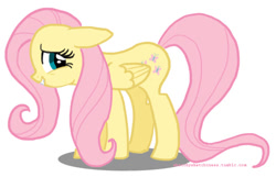 Size: 538x347 | Tagged: safe, artist:rlynn-art, imported from derpibooru, fluttershy, pegasus, pony, female, mare, simple background, solo, white background, wings