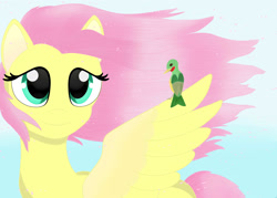 Size: 1800x1290 | Tagged: safe, artist:sashamoon0567, imported from derpibooru, fluttershy, bird, pegasus, pony, bust, colored wings, female, looking at someone, mare, one wing out, sitting on wing, smiling, solo, turned head, two toned wings, windswept mane, wings
