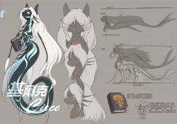 Size: 5000x3508 | Tagged: safe, artist:龙宠, imported from derpibooru, oc, oc only, oc:circle, siren, absurd resolution, book, chinese, female, macro, reference sheet, seapony oc, solo