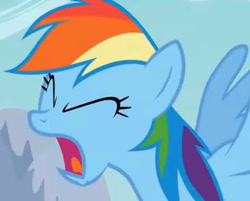 Size: 473x380 | Tagged: safe, imported from derpibooru, screencap, rainbow dash, pegasus, pony, season 1, sonic rainboom (episode), eyes closed, female, frown, louder, mare, multicolored hair, open mouth, screaming, solo, spread wings, wings, youtube link