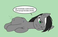 Size: 2376x1514 | Tagged: safe, artist:warrior_stew, imported from derpibooru, oc, oc only, oc:renai, pony, black mane, dialogue, gray coat, kicking, labor, one eye closed, one eye open, overdue, pregnant, speech bubble, text