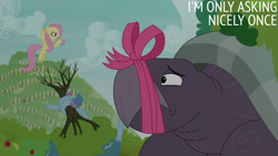 Size: 1280x720 | Tagged: safe, edit, edited screencap, editor:quoterific, imported from derpibooru, screencap, fluttershy, spike, pegasus, pony, tortoise, between dark and dawn, season 9, spoiler:s09, female, flying, giant tortoise, male, mare, open mouth, spread wings, text, wings