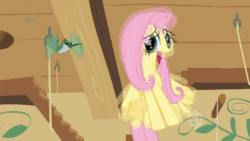 Size: 1280x720 | Tagged: safe, artist:besharpseeflat, edit, edited screencap, imported from derpibooru, screencap, apple bloom, applejack, fluttershy, hummingway, rainbow dash, rarity, scootaloo, sweetie belle, twilight sparkle, bird, earth pony, hummingbird, pegasus, pony, unicorn, a bird in the hoof, friendship is magic, season 1, season 2, sisterhooves social, stare master, the return of harmony, the super speedy cider squeezy 6000, winter wrap up, 2012, animated, avast your ass, blood, castle crashers, cutie mark crusaders, earth pony twilight, female, fighting game, filly, foal, lake, link in description, mare, missing horn, nostalgia, pmv, sound, space pirates, violence, water, webm, youtube link, ytpmv