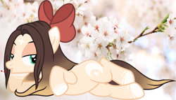 Size: 1280x733 | Tagged: safe, artist:cindystarlight, imported from derpibooru, oc, oc:cindy, pegasus, pony, bow, cherry blossoms, female, flower, flower blossom, hair bow, lying down, mare, prone, solo