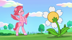 Size: 1920x1080 | Tagged: safe, imported from derpibooru, screencap, pegasus, pony, spoiler:g5, spoiler:my little pony: tell your tale, spoiler:tyts01e02, bipedal, daisy (flower), female, flower, g5, mare, my little pony: tell your tale, solo, windy (g5), zipp's flight school