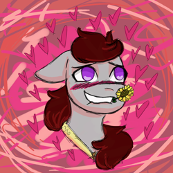 Size: 1100x1100 | Tagged: safe, artist:hiddenfaithy, imported from derpibooru, oc, oc only, oc:skyfire lumia, pegasus, pony, fallout equestria, blushing, ears back, fallout equestria: uncertain ties, flower, heart, hearts and hooves day, old art, sketch