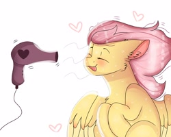 Size: 2500x2000 | Tagged: safe, artist:valkiria, imported from derpibooru, fluttershy, pegasus, pony, blushing, cute, eyes closed, female, hair dryer, heart, mare, open mouth, shyabetes, solo, tongue out