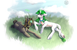 Size: 1280x835 | Tagged: safe, artist:meggychocolatka, imported from derpibooru, oc, oc only, pony, duo, outdoors