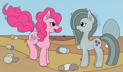 Size: 1280x745 | Tagged: safe, artist:subleni, imported from derpibooru, marble pie, pinkie pie, pebbles, rock, stone