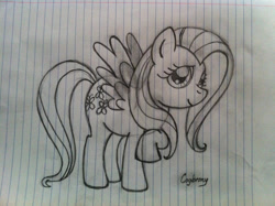 Size: 1024x765 | Tagged: safe, artist:thebrokencog, imported from derpibooru, fluttershy, pegasus, pony, lined paper, sketch, solo, traditional art
