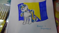 Size: 604x339 | Tagged: artist needed, safe, imported from derpibooru, oc, pony, bosnia and herzegovina, nation ponies, ponified, solo, traditional art