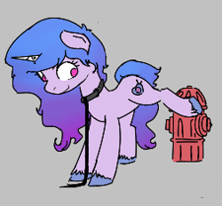 Size: 253x235 | Tagged: safe, artist:alexi148, imported from derpibooru, izzy moonbow, pony, unicorn, aggie.io, behaving like a dog, female, fire hydrant, g5, imminent pissing, implied urine, leash, mare, picture for breezies, pony pet, raised hoof, solo