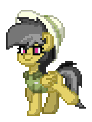 Size: 192x256 | Tagged: safe, imported from derpibooru, daring do, pony, pony town, animated, g4, simple background, solo, transparent background, walk cycle, walking
