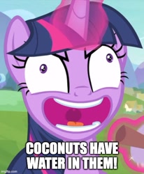 Size: 500x607 | Tagged: safe, edit, edited screencap, imported from derpibooru, screencap, twilight sparkle, alicorn, pony, starlight the hypnotist, spoiler:interseason shorts, bluey, caption, coconuts have water in them, context is for the weak, cropped, image macro, imgflip, insanity, link in description, reference, solo, text, twilight sparkle (alicorn)