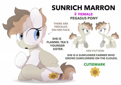 Size: 2064x1457 | Tagged: safe, artist:mochi_nation, imported from derpibooru, oc, oc only, oc:sunrich maron, pegasus, pony, coat markings, female, freckles, mare, reference sheet, simple background, sitting, solo, white background