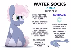 Size: 2064x1457 | Tagged: safe, artist:mochi_nation, imported from derpibooru, oc, oc only, oc:water socks, earth pony, pony, coat markings, male, reference sheet, simple background, socks (coat markings), solo, stallion, white background