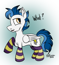Size: 702x780 | Tagged: safe, artist:whirlwindflux, imported from derpibooru, oc, oc only, oc:whirlwind flux, pegasus, pony, clothes, male, socks, solo, stallion, striped socks