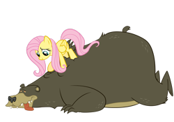 Size: 2927x2049 | Tagged: safe, artist:arvyr, imported from derpibooru, fluttershy, harry, bear, pegasus, pony, lesson zero, high res, massage, simple background, transparent background, vector