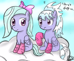 Size: 1250x1030 | Tagged: safe, artist:freefraq, imported from derpibooru, cloudchaser, flitter, pegasus, pony, clothes, cloud, confused, duo, female, socks