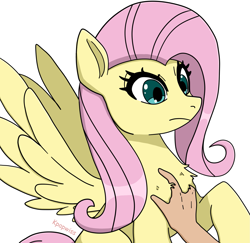 Size: 1907x1853 | Tagged: safe, artist:kpapwiss, imported from derpibooru, fluttershy, human, pegasus, pony, chest fluff, fur, hand, human on pony petting, petting, simple background, solo focus, white background