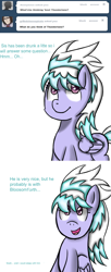 Size: 900x2200 | Tagged: safe, artist:freefraq, imported from derpibooru, cloudchaser, flitter, pony, ask-flitter, female, simple background, solo, white background