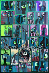 Size: 1200x1800 | Tagged: safe, artist:princessemerald7, imported from derpibooru, fine line, maxie, meadow song, north star, perfect pace, queen chrysalis, rainbowshine, shining armor, changeling, changeling queen, a canterlot wedding, season 2, collage, female